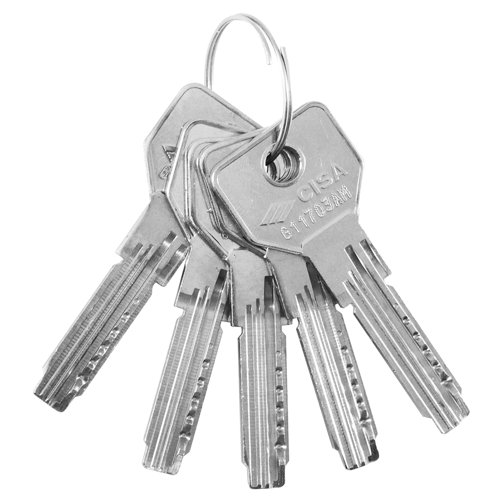 Cylinder Euro Profile 6 pin - Flat Key - CISA ASIX 0E300 | Nickel & Brass  - 2