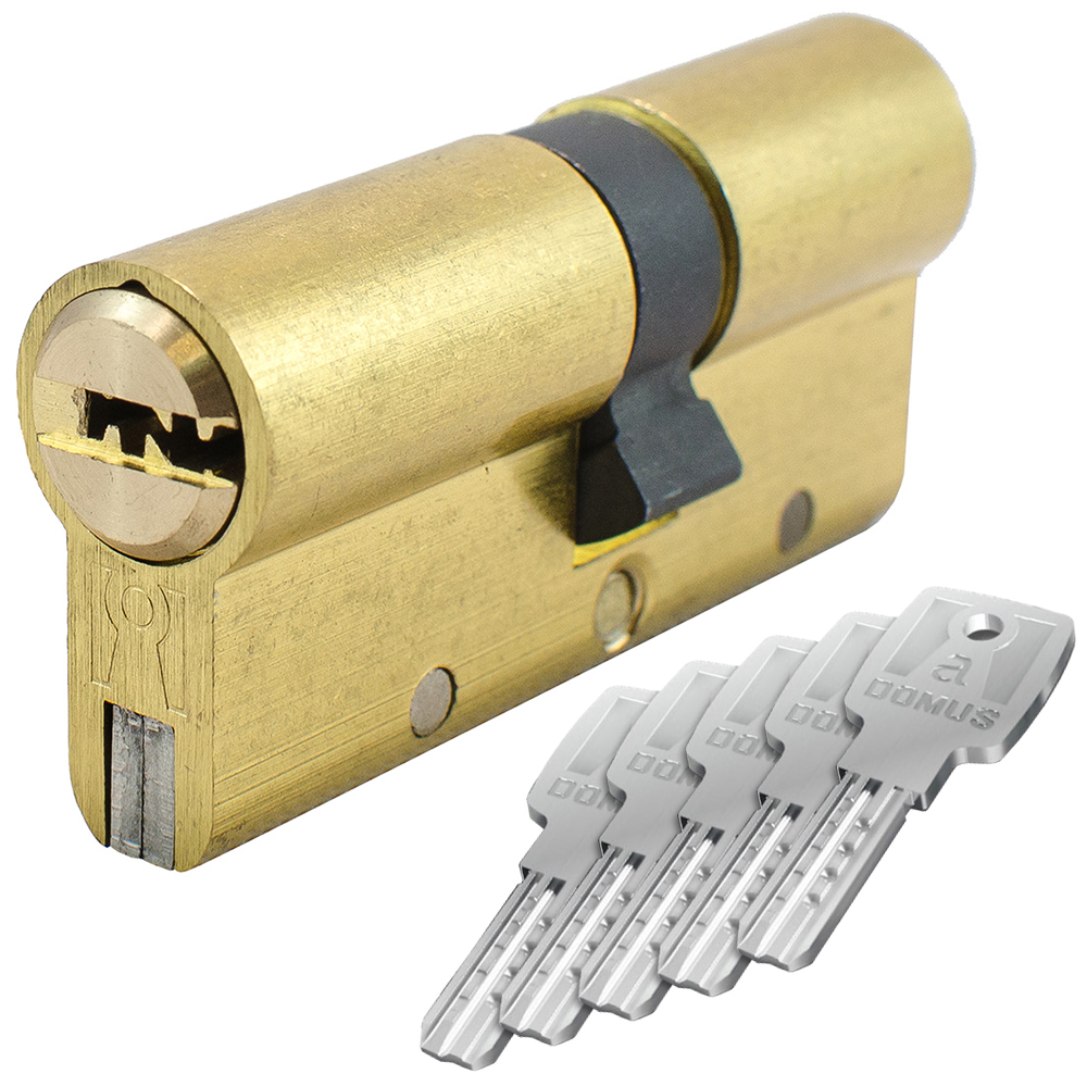 Cylinder Euro Profile - Flat Key - Anti-Snap Steel Βars DOMUS ALFA | Nickel & Brass - 1