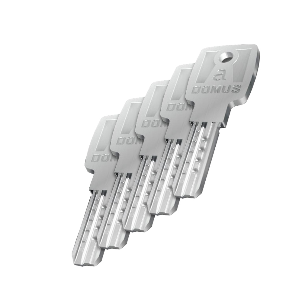 Cylinder Euro Profile - Flat Key - Anti-Snap Steel Βars DOMUS ALFA | Nickel & Brass - 2