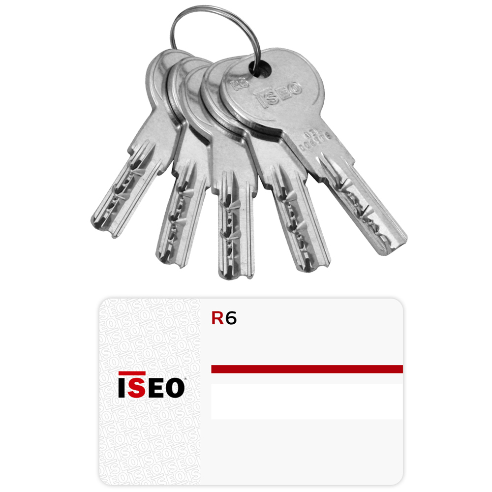 ISEO R6 Κύλινδρος ασφαλείας σε χρυσό & νίκελ - 2
