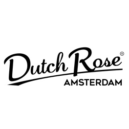 Dutch Rose