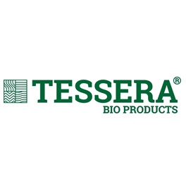 Tessera