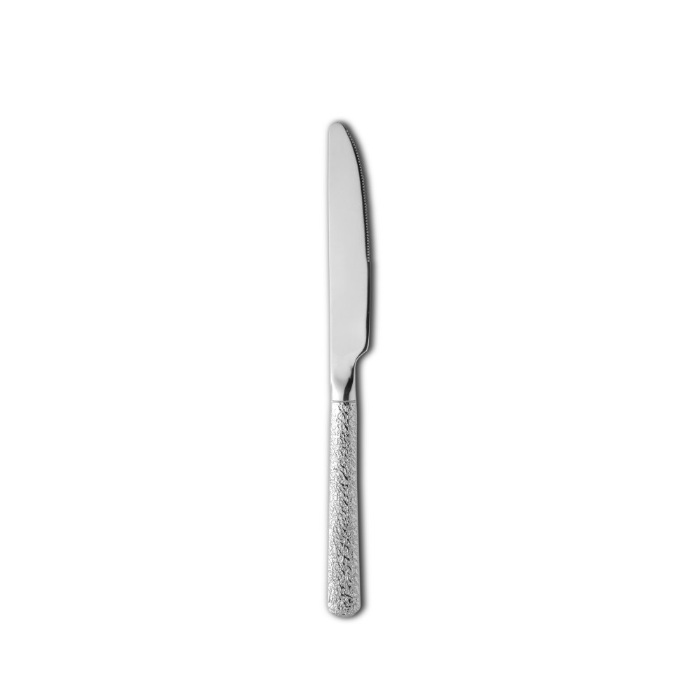 Μαχαίρι Φαγητού Ανοξείδωτο 22.2cm Toujours GTSA 42-4505 - 