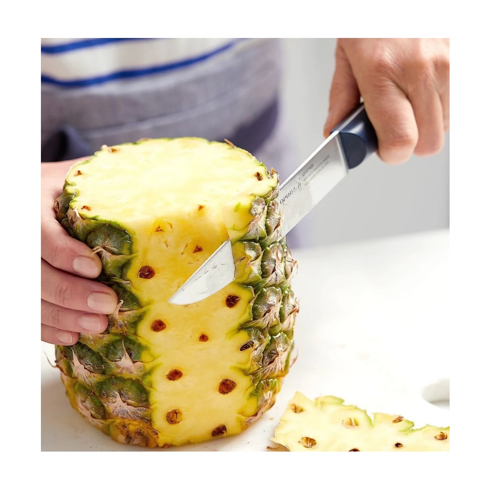 Μαχαίρι Φιλεταρίσματος 15,24cm Ατσάλι 12C27 Intempora Opinel 002220 - 2