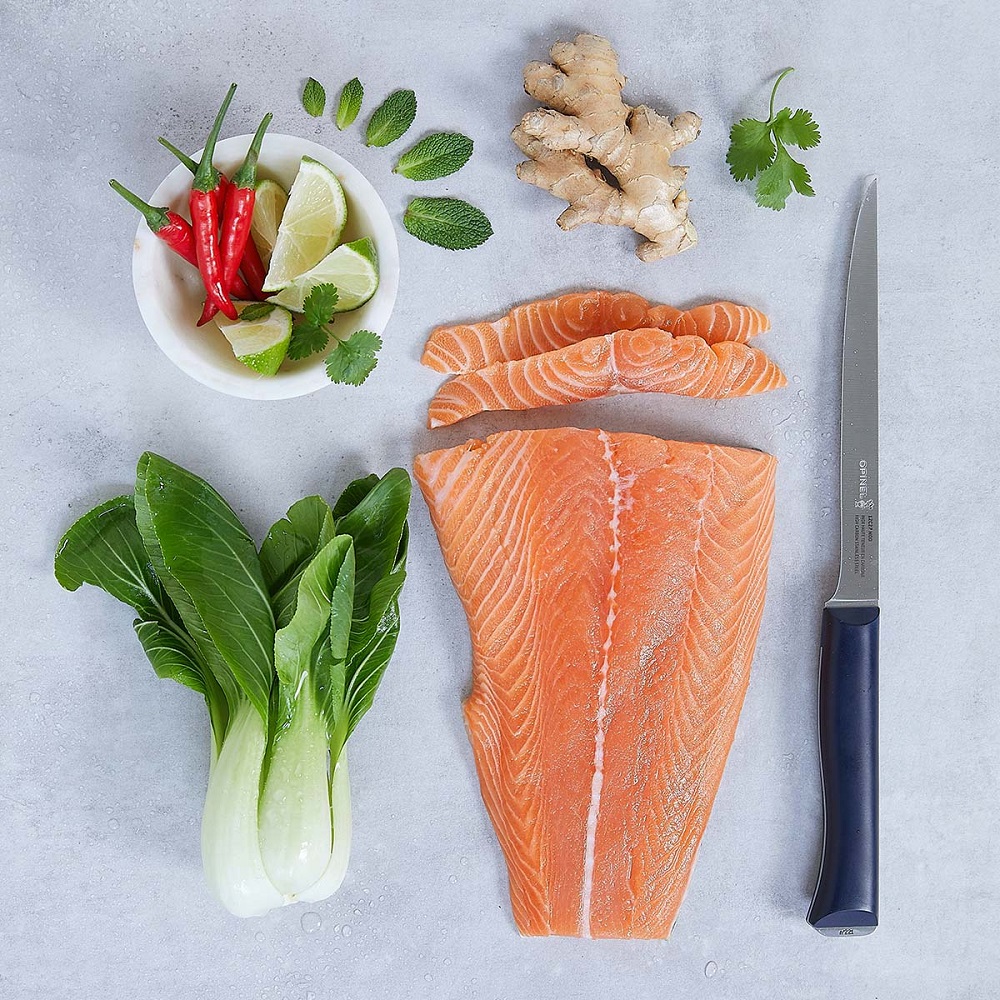 Μαχαίρι Φιλεταρίσματος 17,78cm Ατσάλι 12C27 Intempora Opinel 002221 - 3