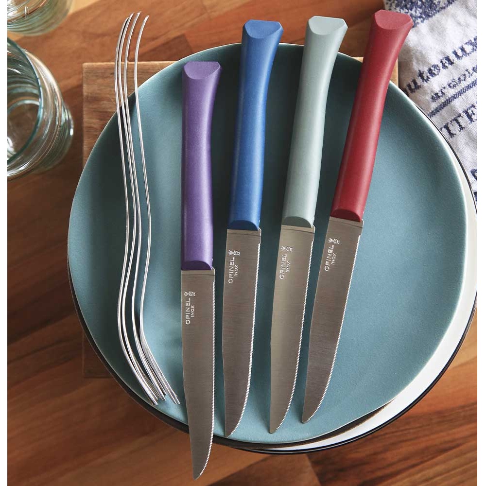 Μαχαίρια Steak Κουτί 4 Τεμαχίων 10,16cm Ατσάλι Sandvik 12C27 Bon Appétit+ Glam Opinel 002197 - 2
