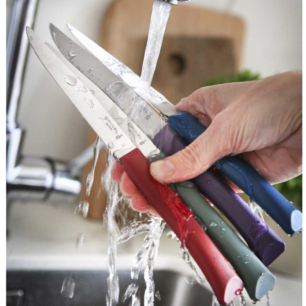 Μαχαίρια Steak Κουτί 4 Τεμαχίων 10,16cm Ατσάλι Sandvik 12C27 Bon Appétit+ Glam Opinel 002197 - 3