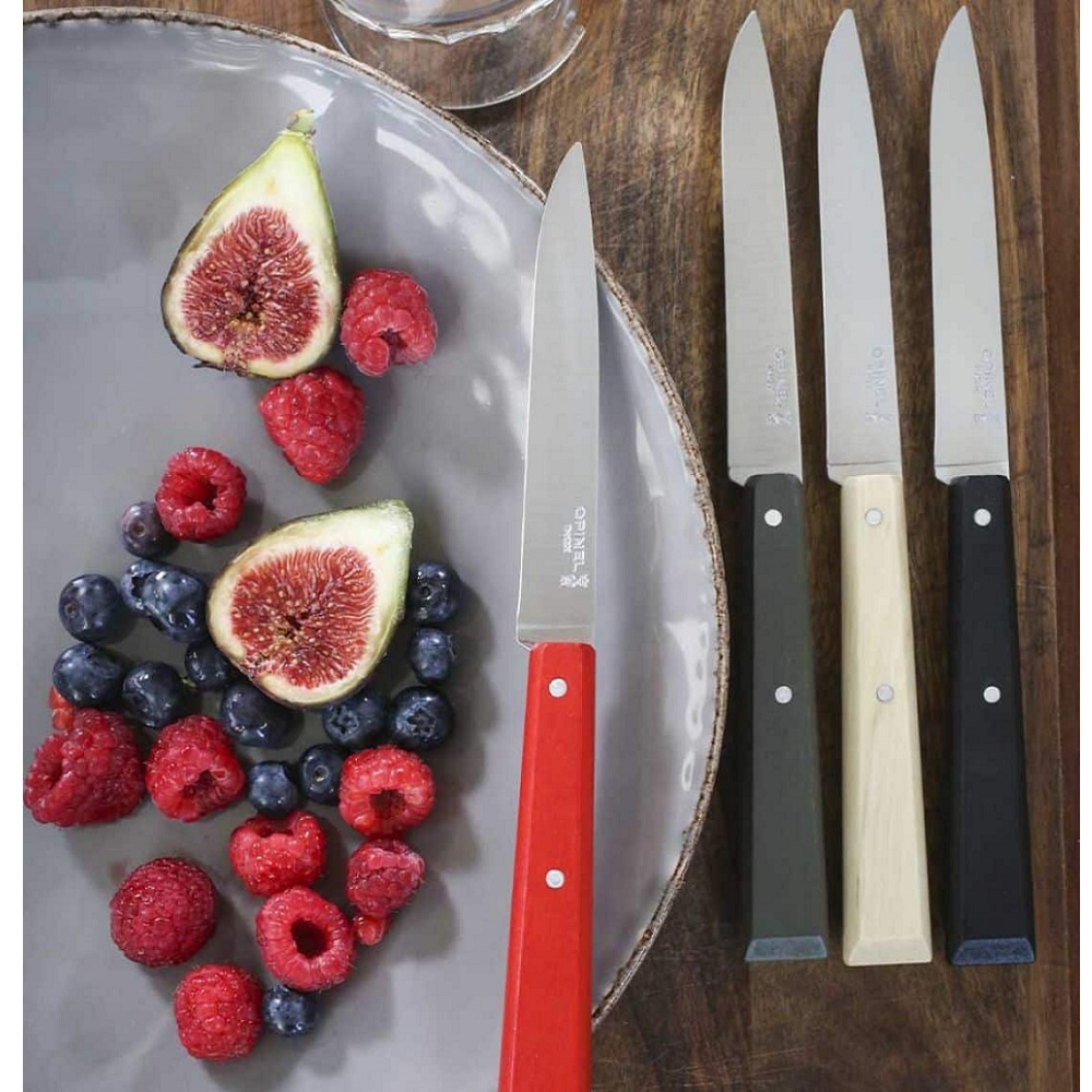 Μαχαίρια Steak Κουτί 4 Τεμαχίων 10,16cm Ατσάλι Sandvik 12C27 Bon Appétit Loft Opinel 001534 - 3