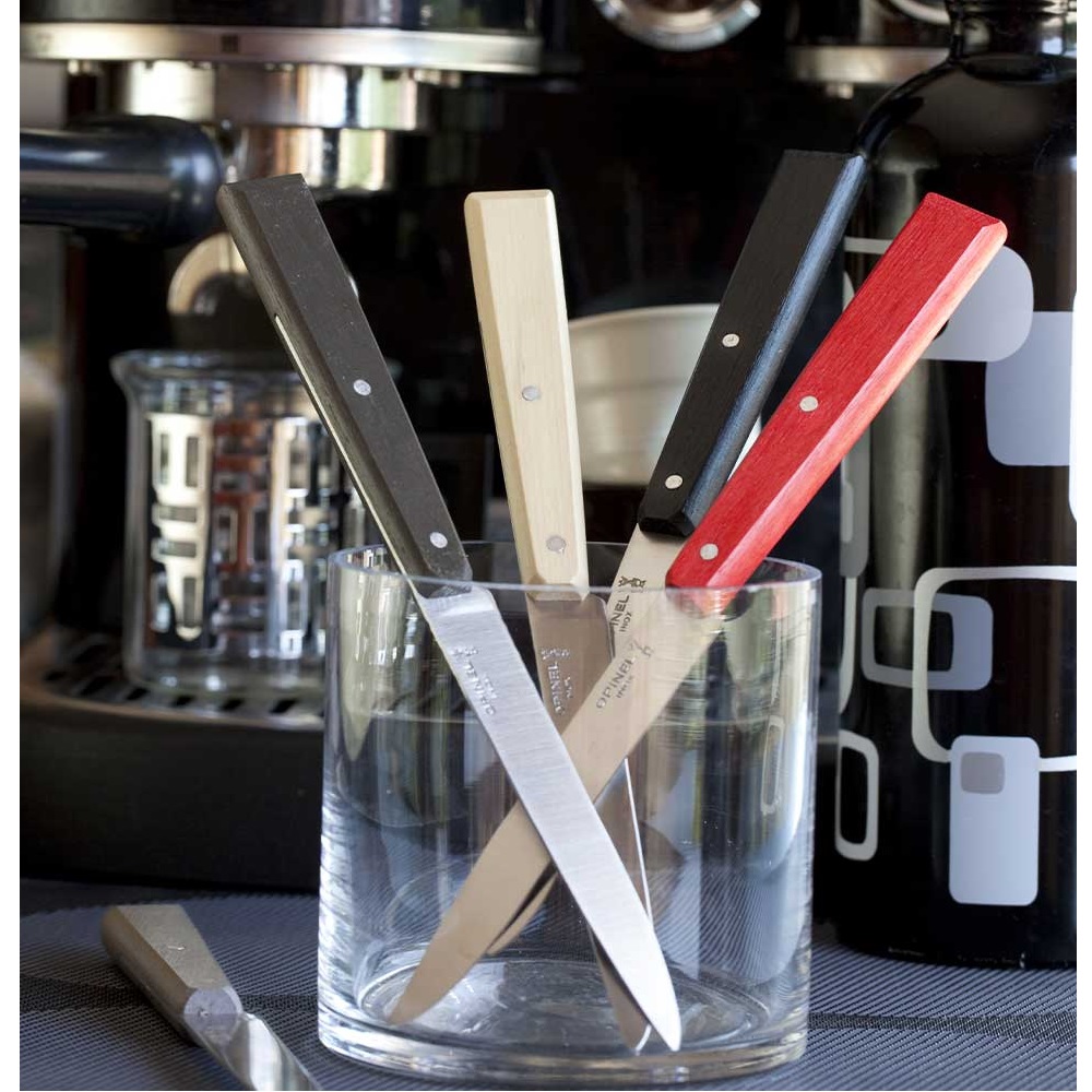 Μαχαίρια Steak Κουτί 4 Τεμαχίων 10,16cm Ατσάλι Sandvik 12C27 Bon Appétit Loft Opinel 001534 - 4