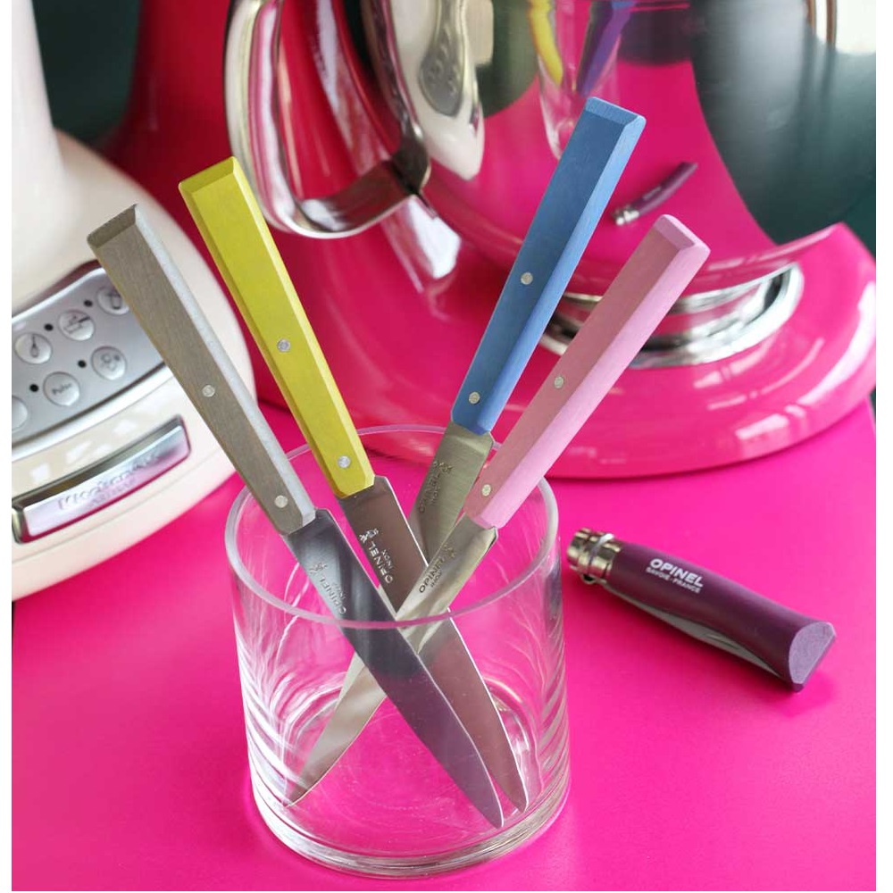 Μαχαίρια Steak Κουτί 4 Τεμαχίων 10,16cm Ατσάλι Sandvik 12C27 Bon Appétit Opinel Campagne 001533 - 3