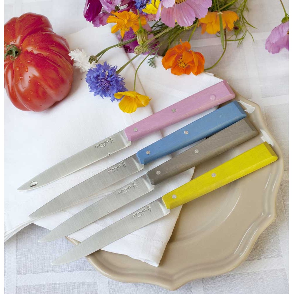Μαχαίρια Steak Κουτί 4 Τεμαχίων 10,16cm Ατσάλι Sandvik 12C27 Bon Appétit Opinel Campagne 001533 - 4