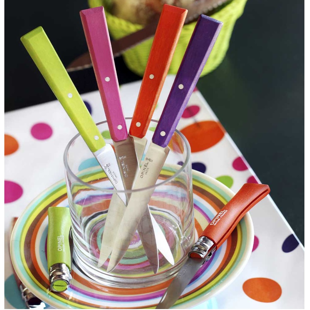 Μαχαίρια Steak Κουτί 4 Τεμαχίων 10,16cm Ατσάλι Sandvik 12C27 Bon Appétit Pop Opinel 001532 - 3