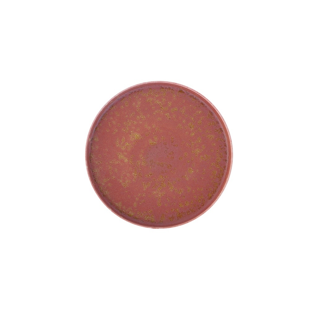 Πιάτο Πορσελάνης Elipse Rosa Ø25x2,6cm Ροζ Ρουστίκ για Επαγγελματική Χρήση Novatex 06-391 - 