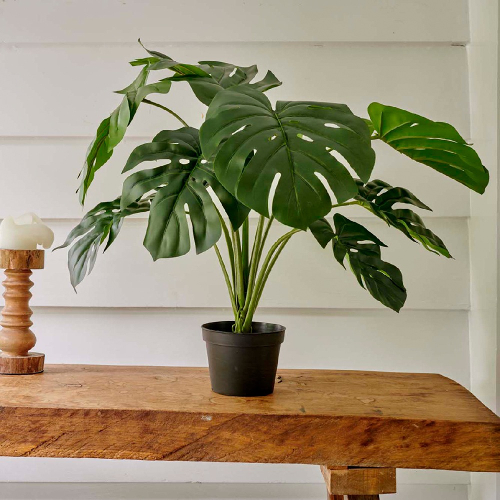 Τεχνητό Φυτό Monstera σε Γλάστρα – 66cm Kaemingk 803982 - 4