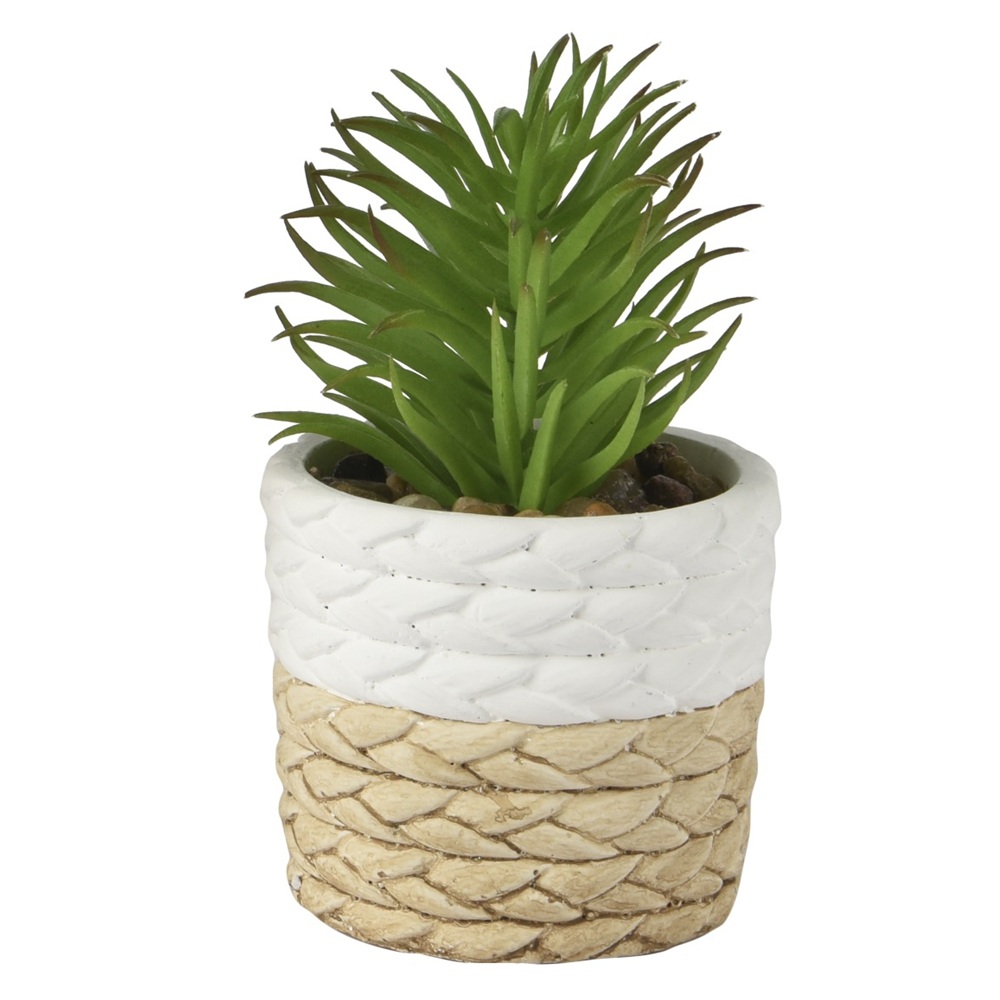 Τεχνητό Παχύφυτο Σε Διακοσμητική Γλάστρα 9x9x14εκ Kaemingk 810250-3 - 