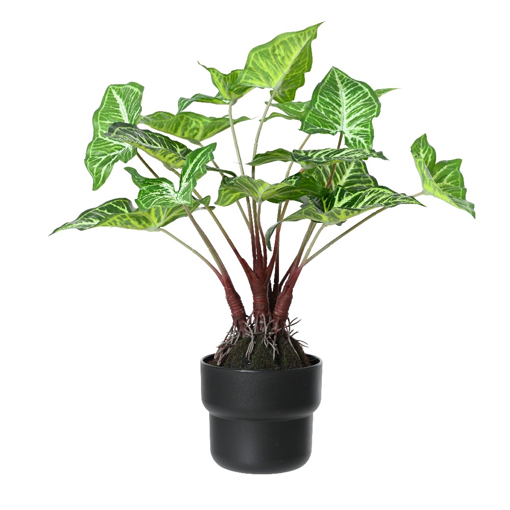 Τεχνητό Φυτό Caladium σε Γλάστρα, Διάσταση 45x45x45cm – Πράσινο – Kaemingk 833581 - 