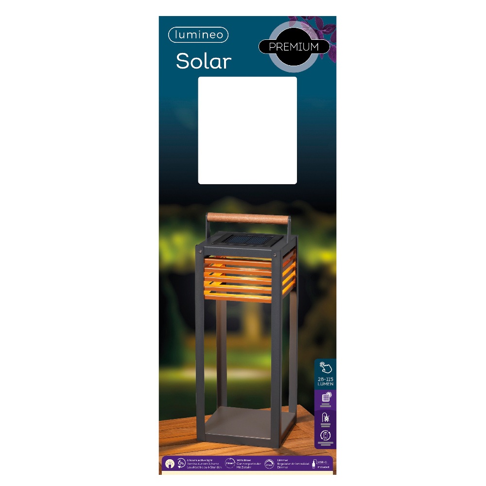 Ηλιακό Φανάρι Αλουμινίου με LED & Λαβή από Ξύλο Ευκαλύπτου – 51cm | Kaemingk 892183 - 3