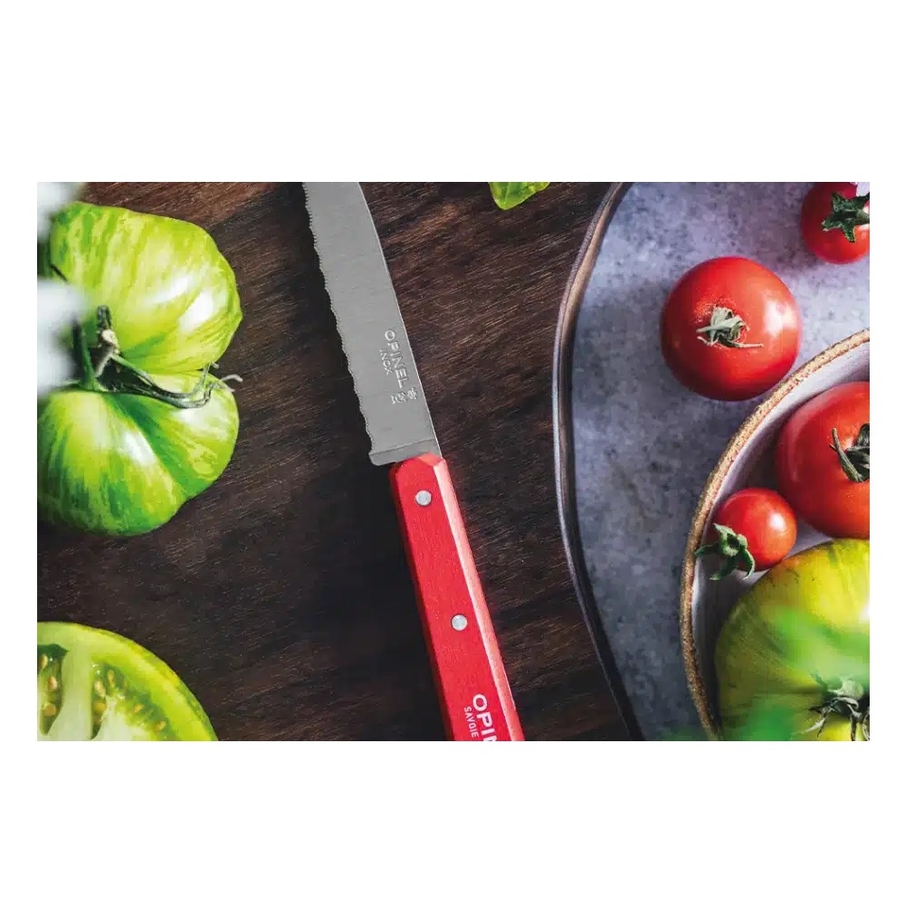 Μαχαίρι Κουζίνας Οδοντωτό Inox 10cm No.113 Paysage Κόκκινο Opinel 003119 - 2
