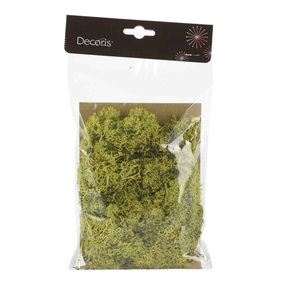 Βρύα Διακόσμησης Preserved Moss Ανοιχτό Πράσινο 25x15x2cm Decoris 523147-2 - 