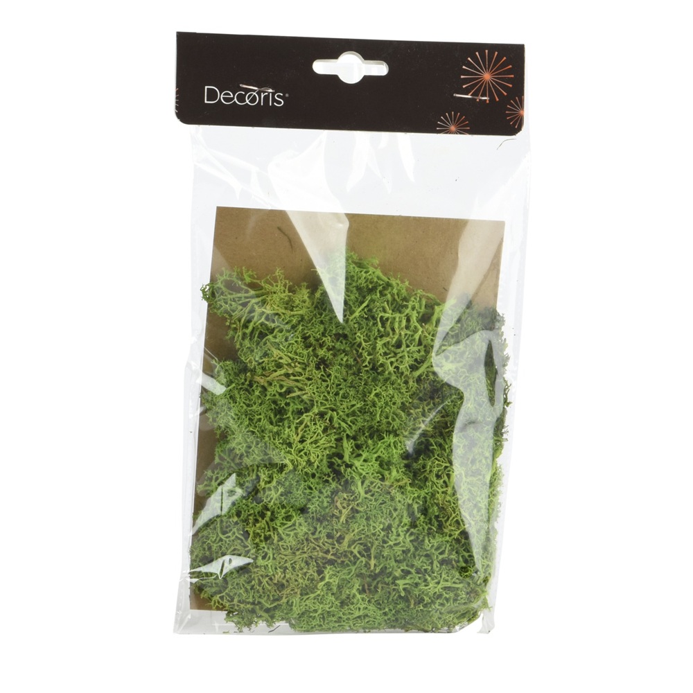 Βρύα Διακόσμησης Preserved Moss Φυσικό Πράσινο 25x15x2cm Decoris 523147-3 - 