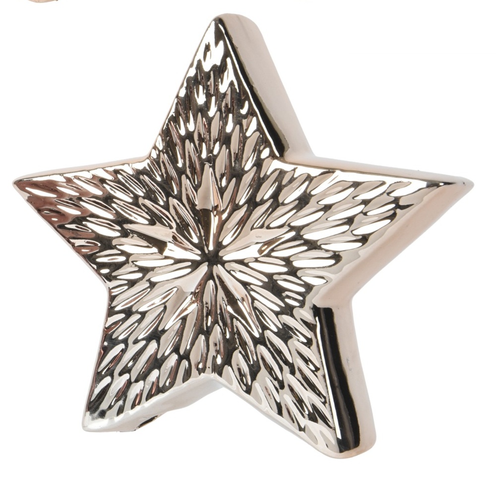 Χριστουγεννιάτικο Αστέρι Porcelain Champagne 2.9×12×11cm Christmas Collection Decoris 537864-4 - 