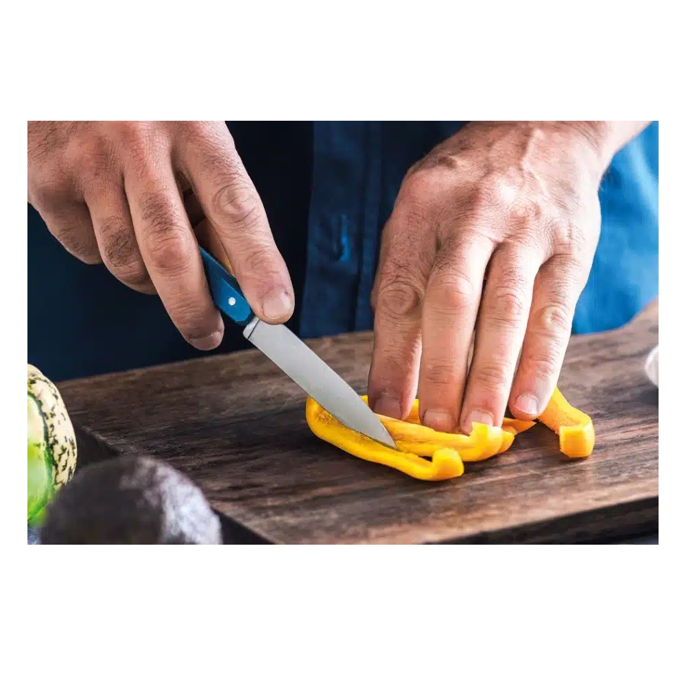 Μαχαίρι Κουζίνας Inox 10cm No.112 Paysage Βιολετί Opinel 003116 - 4