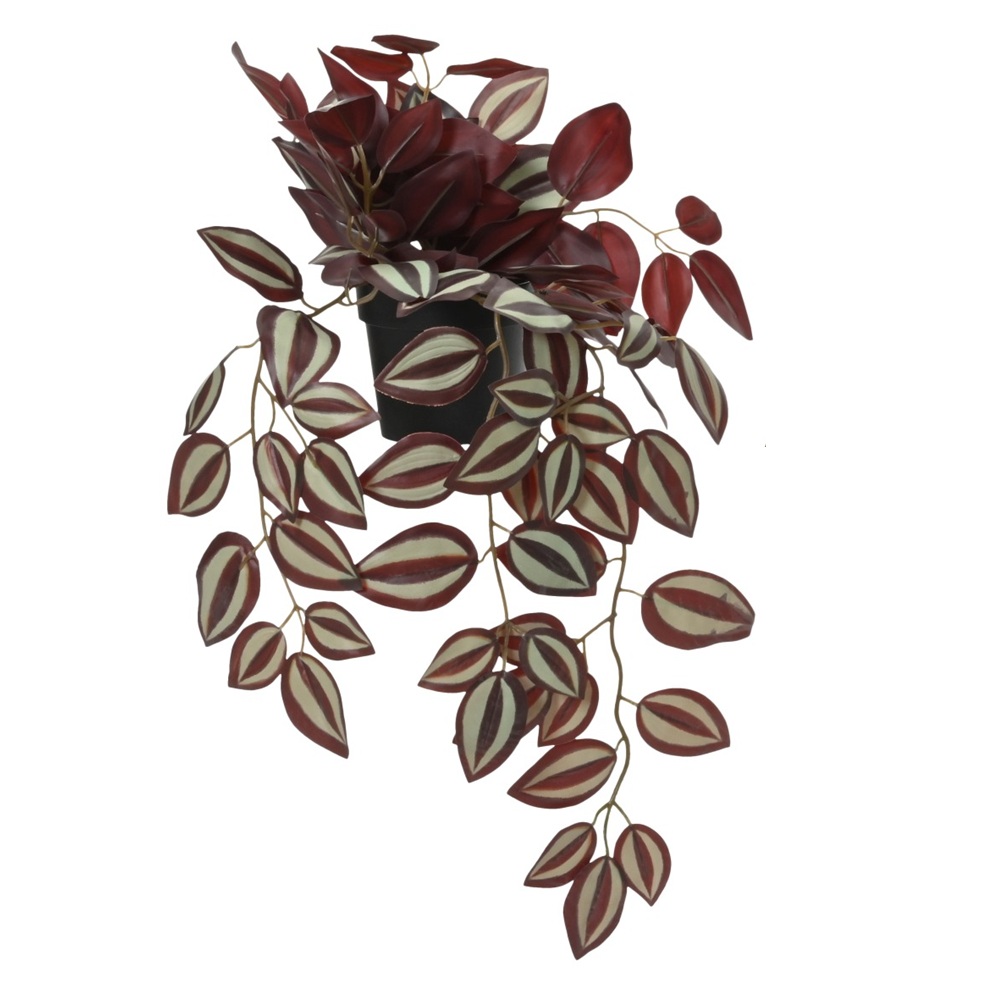 Τεχνητό Φυτό Tradescantia Zebrina Σε Μαύρη Πλαστική Γλάστρα 50x15x16εκ Kaemingk 833255-1 - 