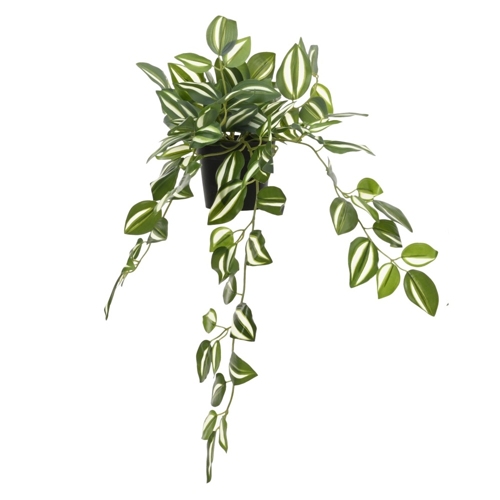 Τεχνητό Φυτό Tradescantia Zebrina Σε Μαύρη Πλαστική Γλάστρα 50x15x16εκ Kaemingk 833255-2 - 