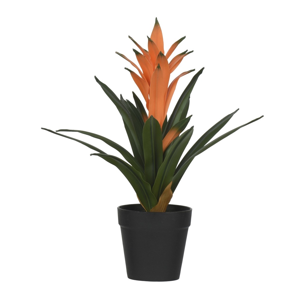 Διακοσμητικό Φυτό Bromelia PE Σε Γλάστρα Φ11xΥ32cm Kaemingk 899752-2 - 