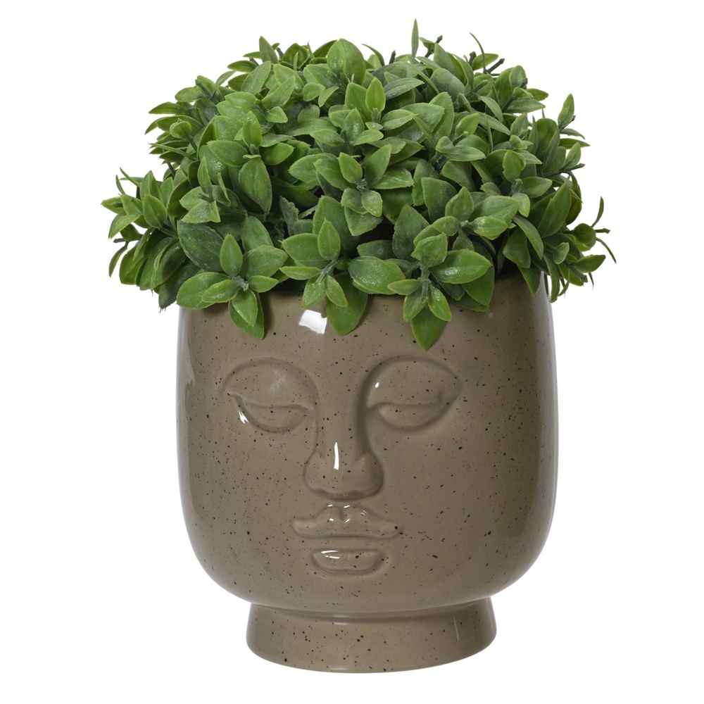 Διακοσμητικό Φυτό Τεχνητό σε Κεραμικό Κασπώ Πρόσωπο 22cm Decoris 899765-1 - 