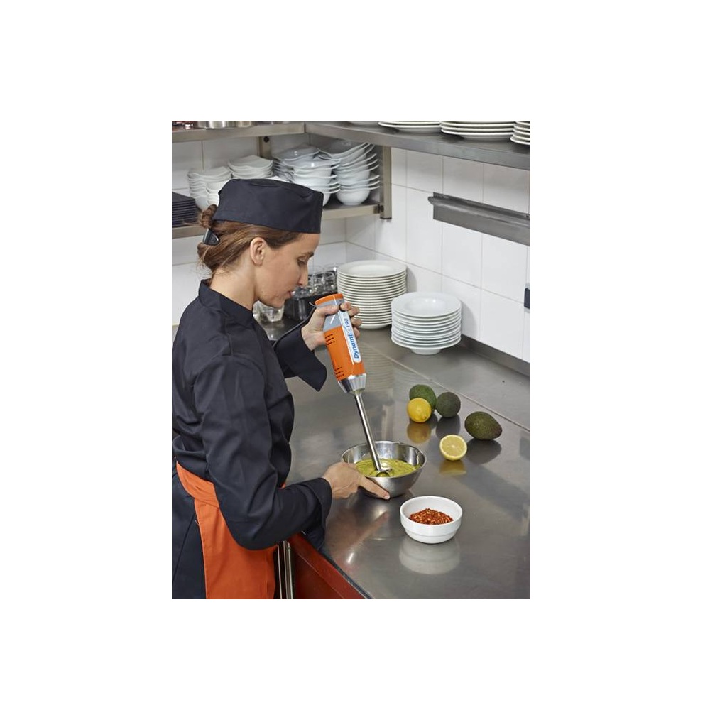 Μίξερ Χειρός 250W Inox Άξονας 190mm Ρυθμιζόμενων Στροφών Dynamic Dynamix MX091 - 2