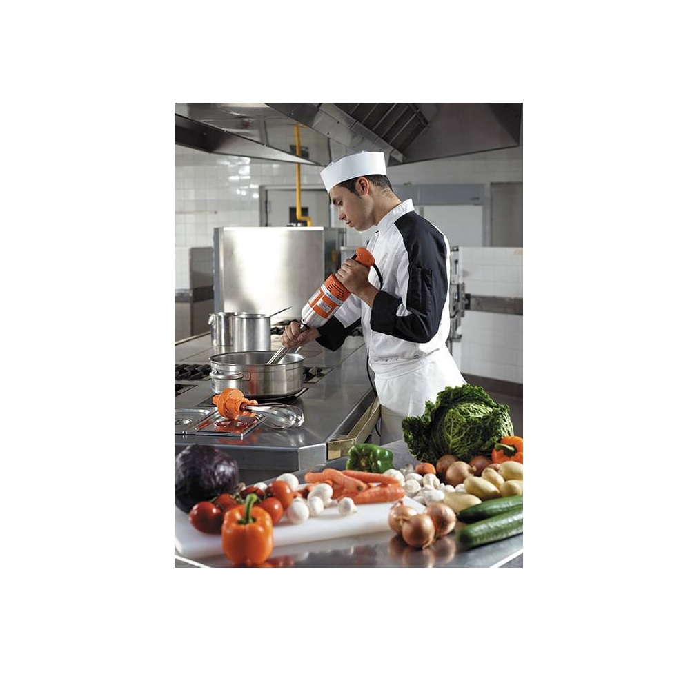 Μίξερ Χειρός 350W Monoblock Inox Άξονας 300mm Dynamic Senior MX MX007 - 2