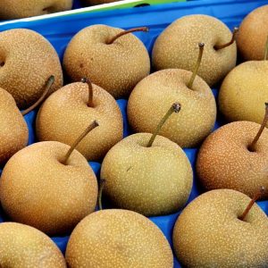 Αχλαδόμηλο - Νάνσι - 5 lt