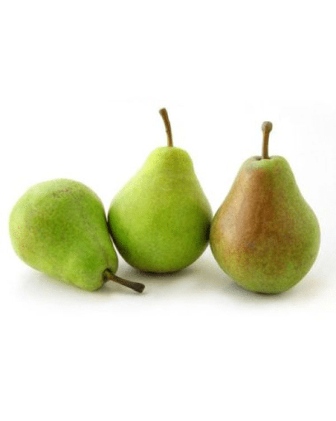 🍐 Αχλαδιά Sissy (Pyrus communis)