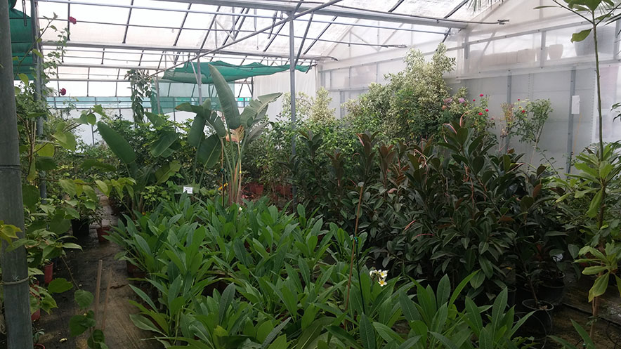 Έκθεση - φωτογραφία 2