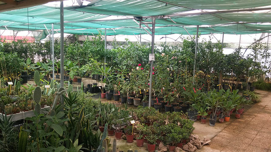 Έκθεση - φωτογραφία 3