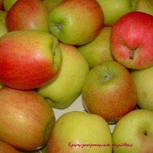 Μηλιά Φιρίκι Μεγαλόκαρπο (Malus domestica) - 5 lt