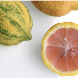 Κόκκινη Λεμονιά (Citrus limon)  - 3 lt