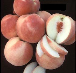 Ροδακινιά Λευκόσαρκη (Prunus persica)