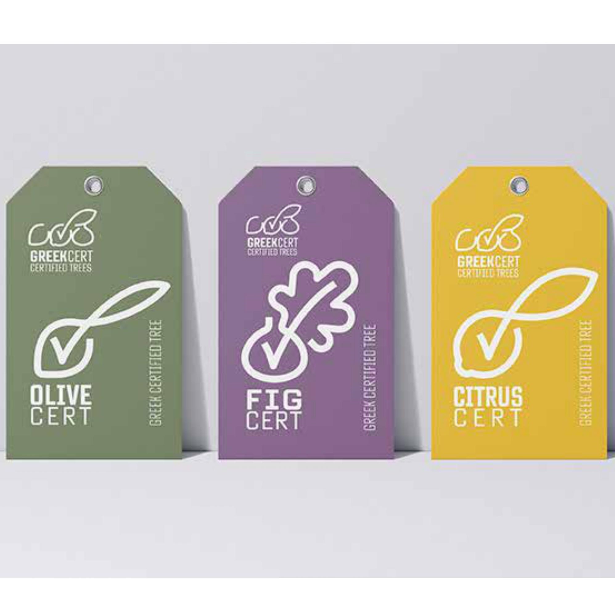 ΠΙΣΤΟΠΟΙΗΜΕΝΑ ΦΥΤΩΡΙΑ Ελιάς/ CERTIFIED NURSERIES Ελιάς - 4