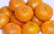 🍊 Χιώτικη  Μανταρινιά (Ντόπια) (Citrus Reticulata) - 2