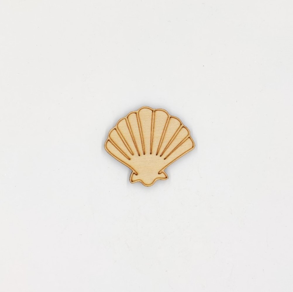 Seashell 