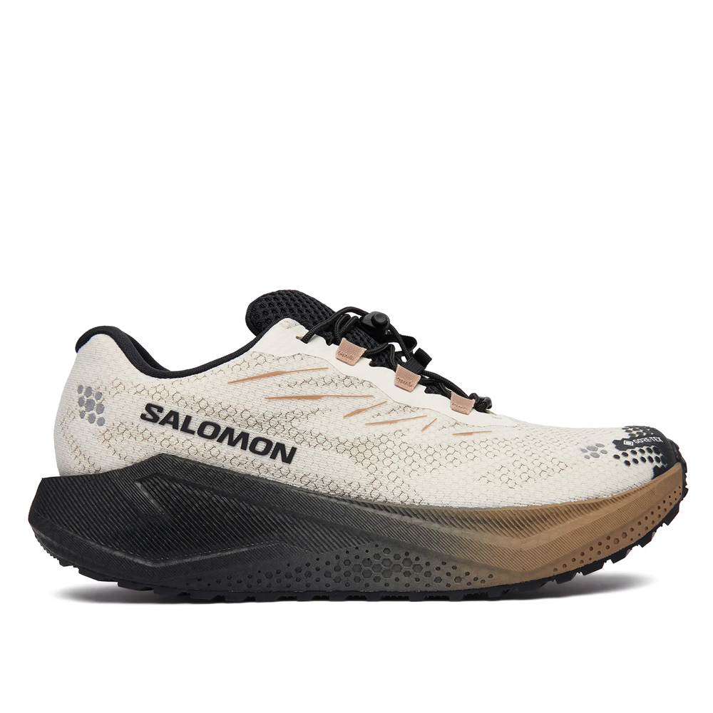 SALOMON Aero Blaze 4 GRVL GTX Ανδρικά Παπούτσια Για Τρέξιμο - Μπεζ