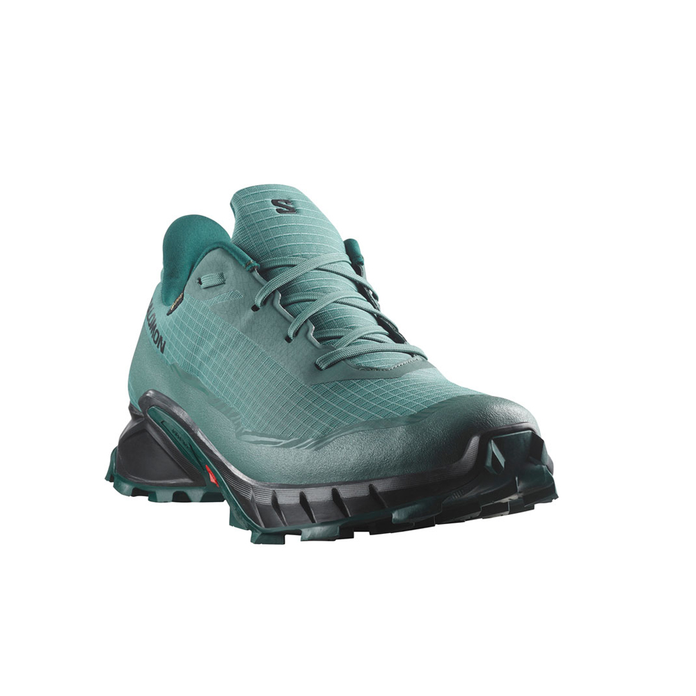 SALOMON Aplhacross 5 Gore-Tex Ανδρικά Παπούτσια Running Αδιάβροχα - 2