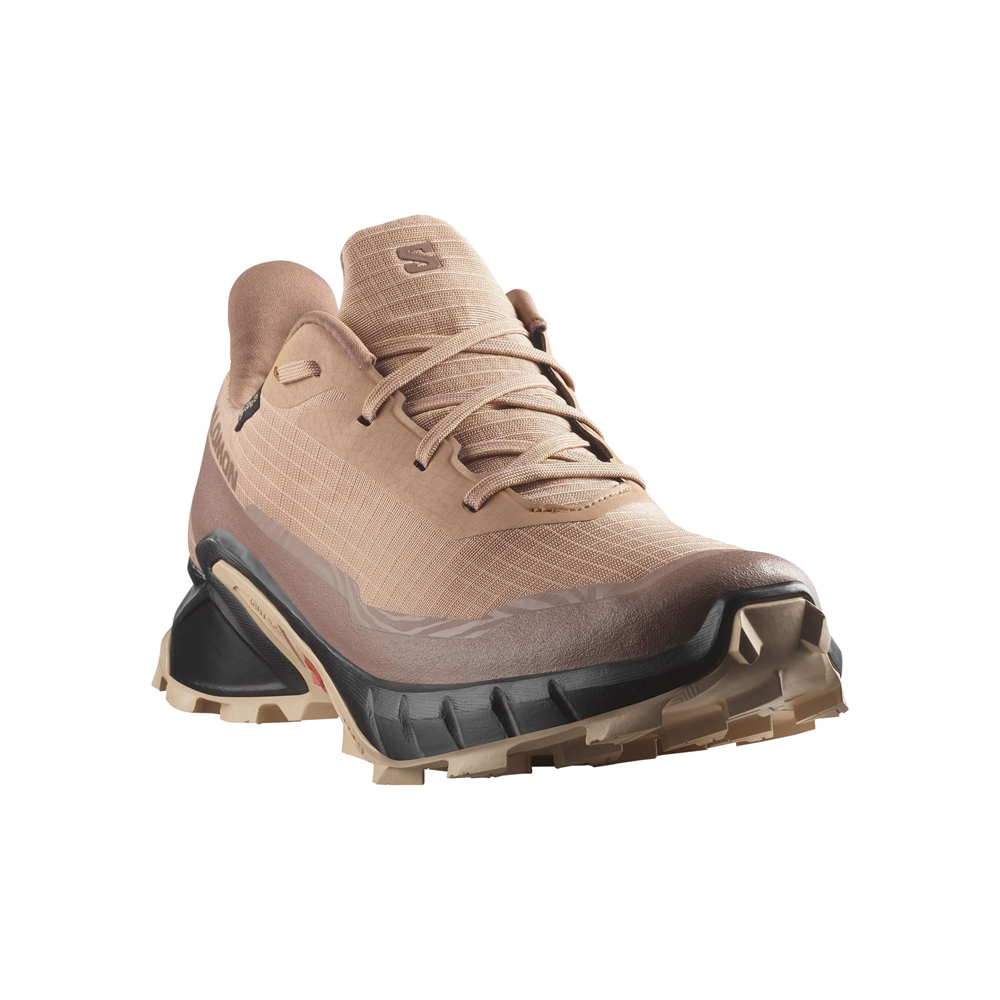 SALOMON Aplhacross 5 Gore-Tex Γυναικεία Παπούτσια Running Αδιάβροχα - 2