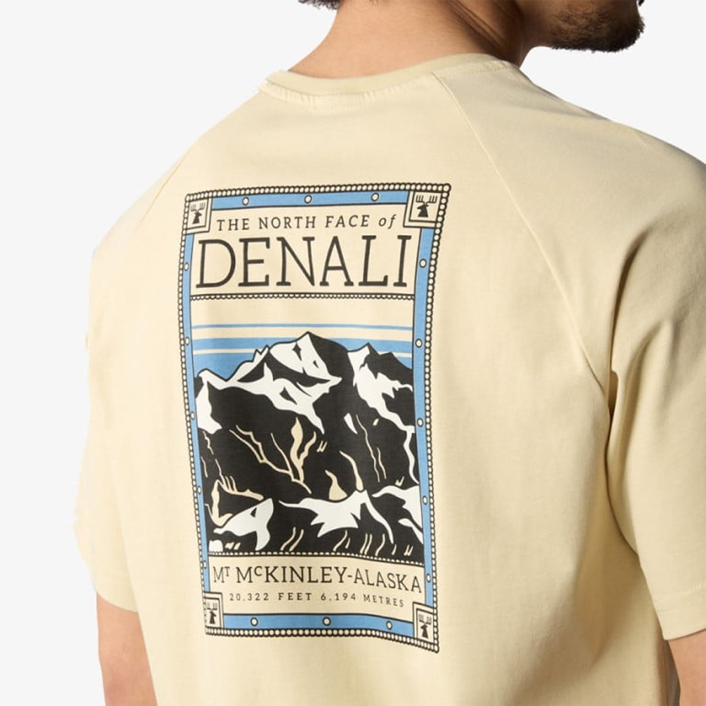 THE NORTHFACE Faces Tee Gravel Ανδρικό T-Shirt  - 3
