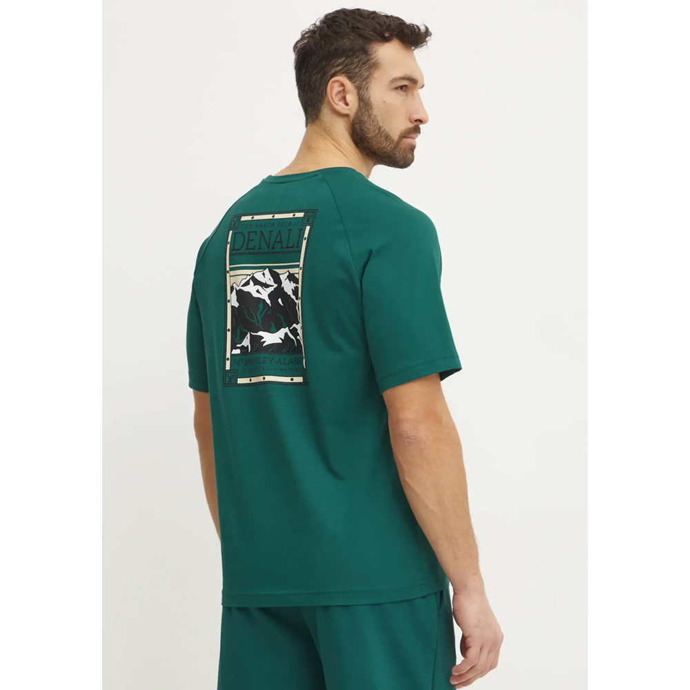 THE NORTHFACE Faces Tee Gravel Ανδρικό T-Shirt  - 2