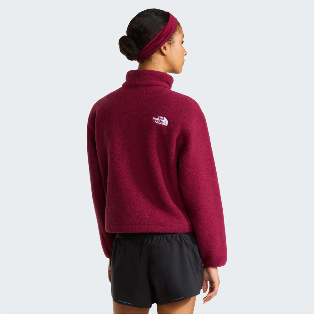 THE NORTHFACE Fleeski 1/4 Zip  Γυναικείο Φούτερ  - 2