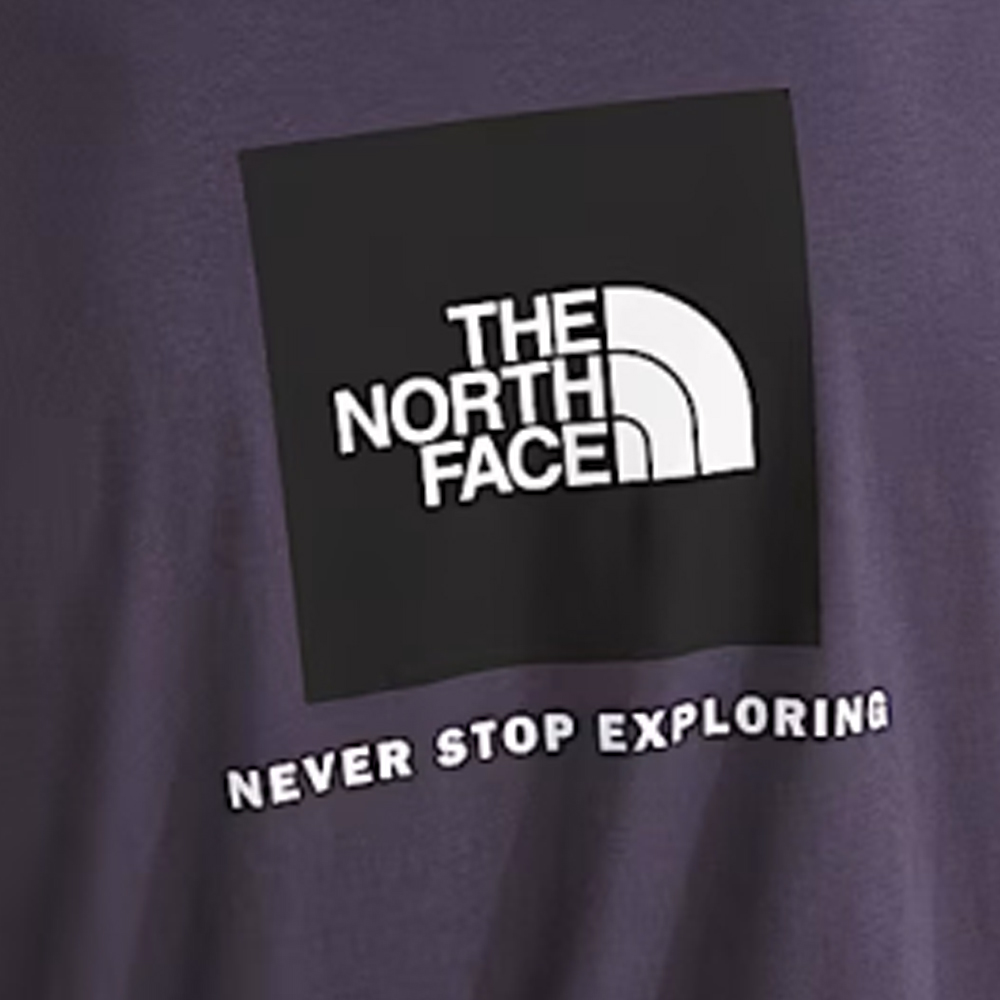 THE NORTHFACE Evolution NSE Box Regular T-Shirt Ανδρικό T-Shirt - 3