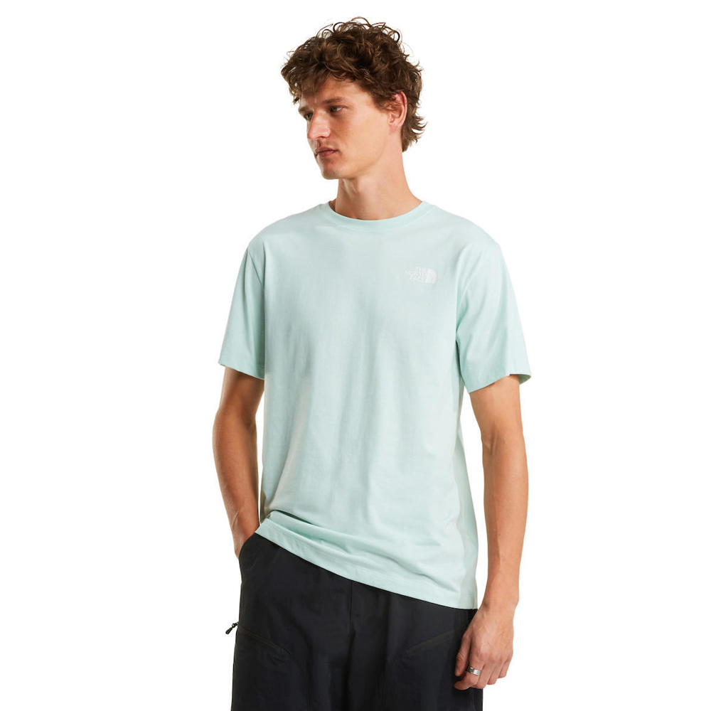 THE NORTHFACE Evolution NSE Box Regular T-Shirt Ανδρικό T-Shirt - Πράσινο